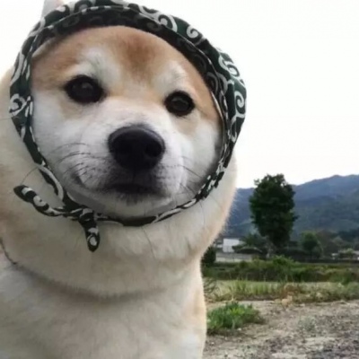 可爱搞笑的微信沙雕头像合集