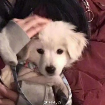 沙雕有个性的微信情侣头像合集