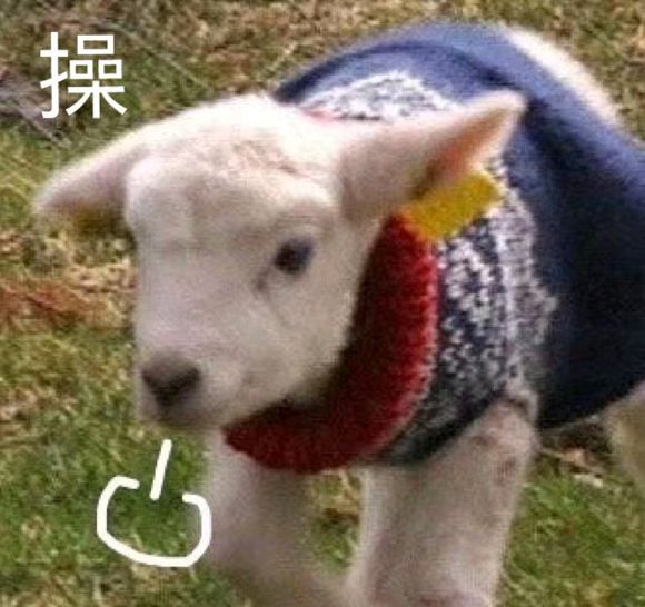 微信近期斗图恶搞表情包2020/4/5(二)