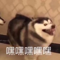 微信近期斗图恶搞表情包2020/4/5(二)