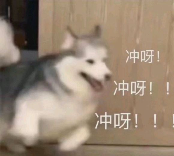 微信近期斗图恶搞表情包2020/4/5(二)