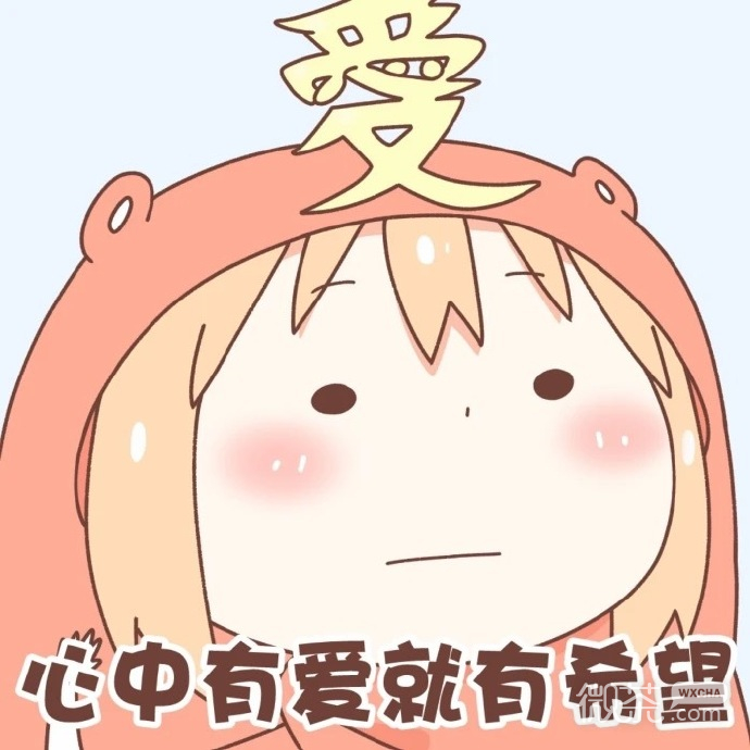 可爱萌萌哒的微信小埋套路熊表情包
