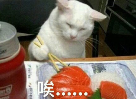 搞怪带字的微信萌宠喵星人表情包