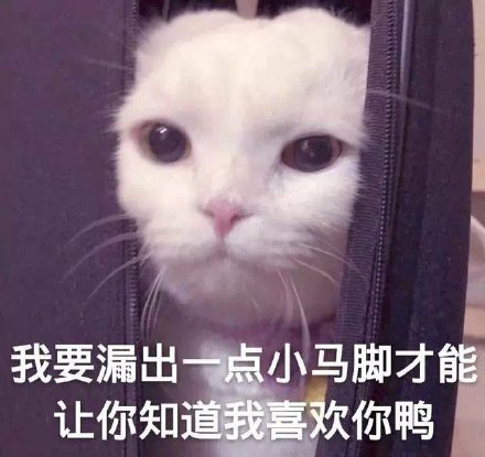 搞怪带字的微信萌宠喵星人表情包