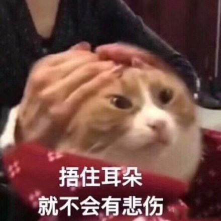 搞怪带字的微信萌宠喵星人表情包