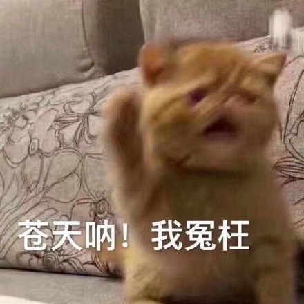搞怪带字的微信萌宠喵星人表情包