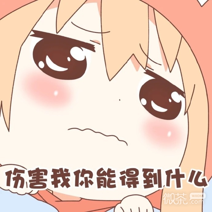 可爱萌萌哒的微信小埋套路熊表情包