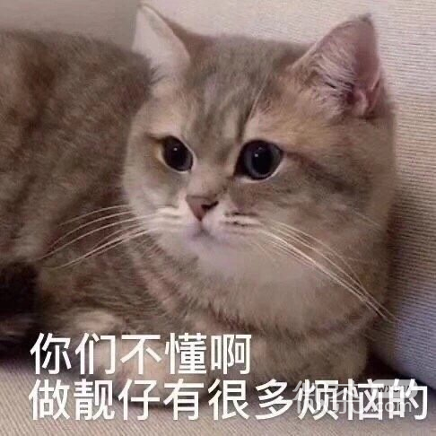 搞怪带字的微信萌宠喵星人表情包