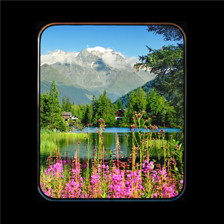 唯美小清新的微信窗口图片