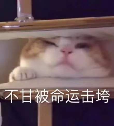 沙雕搞怪的微信群聊斗图表情包