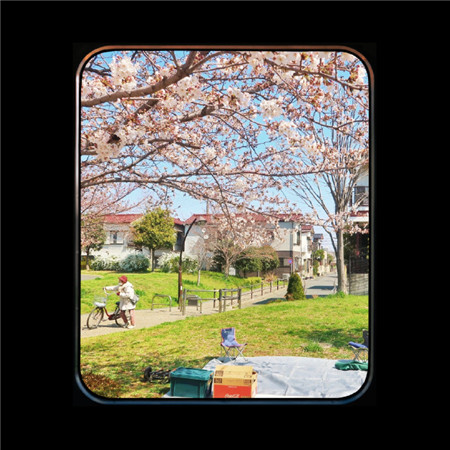 唯美小清新的微信窗口图片