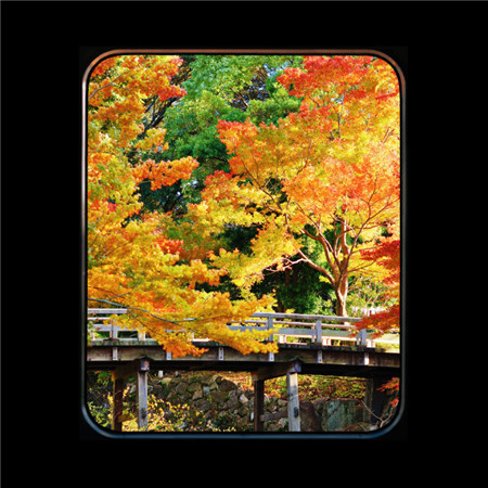 唯美小清新的微信窗口图片