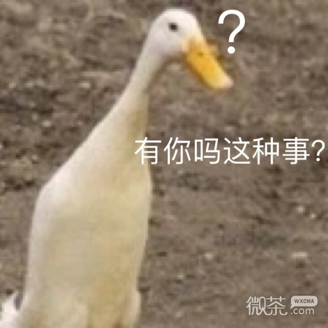 沙雕搞怪的微信群聊斗图表情包