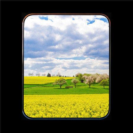 唯美小清新的微信窗口图片