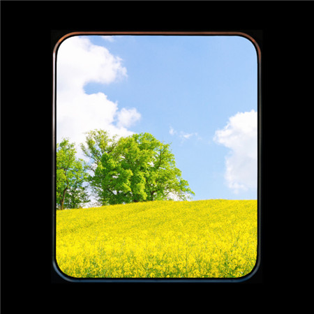 唯美小清新的微信窗口图片