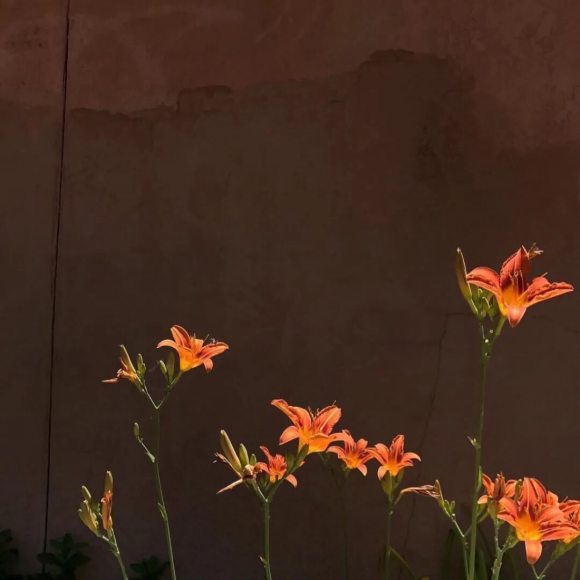 唯美街景微信朋友圈配图