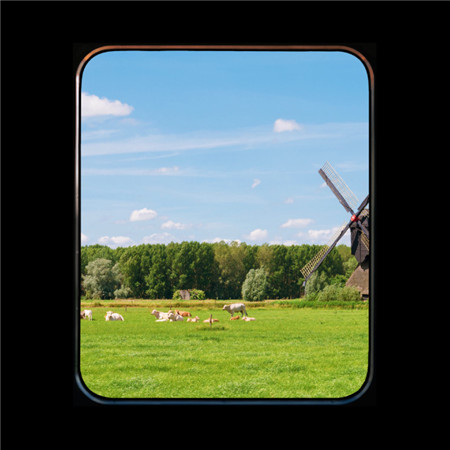 唯美小清新的微信窗口图片