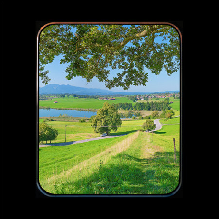 唯美小清新的微信窗口图片