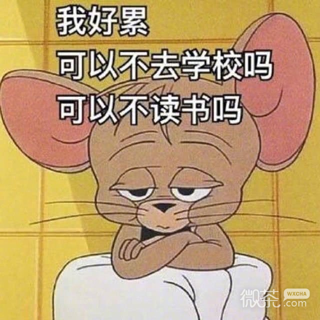 关于开学的微信猫和老鼠带字表情包