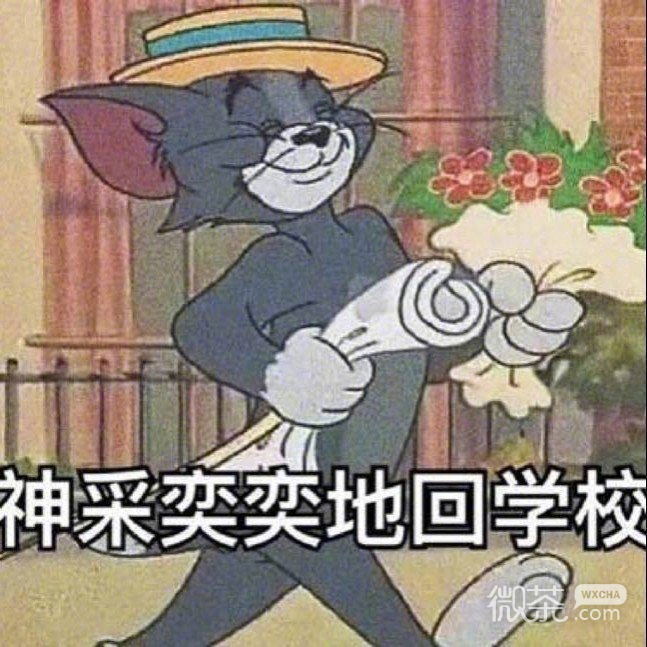 关于开学的微信猫和老鼠带字表情包