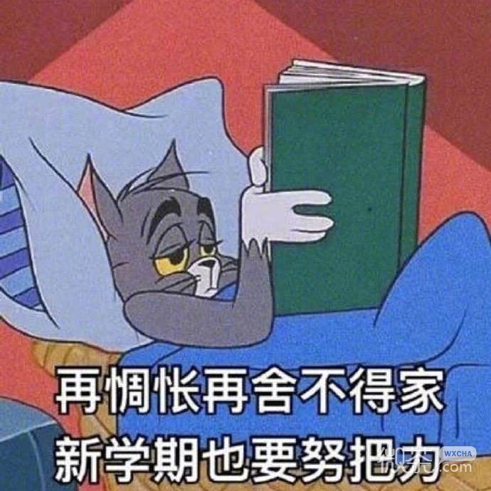 关于开学的微信猫和老鼠带字表情包