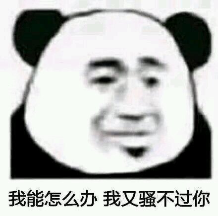 快回去微信恶搞斗图表情包