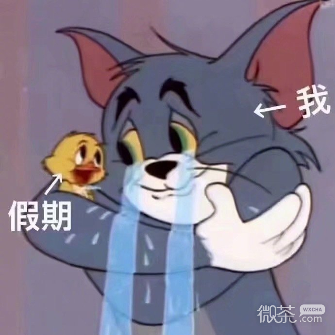 关于开学的微信猫和老鼠带字表情包