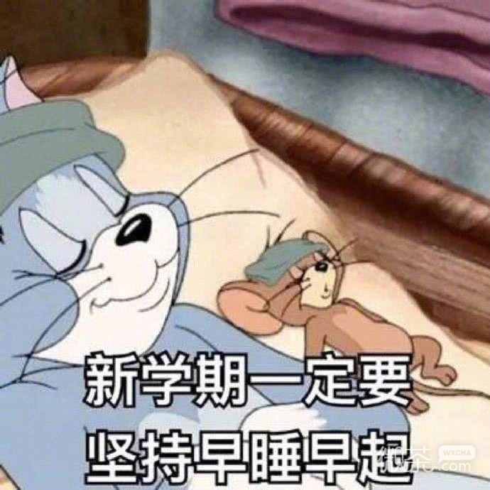 关于开学的微信猫和老鼠带字表情包