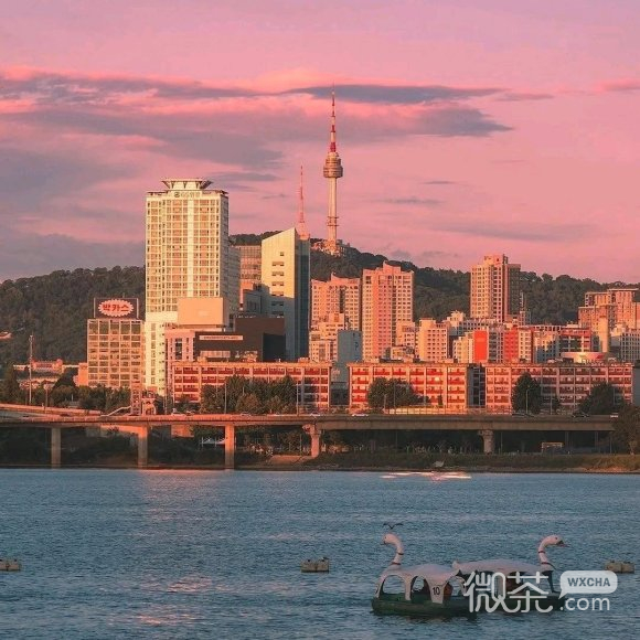 最潮粉色微信朋友圈配图