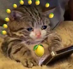 笑不出来微信聊天表情包