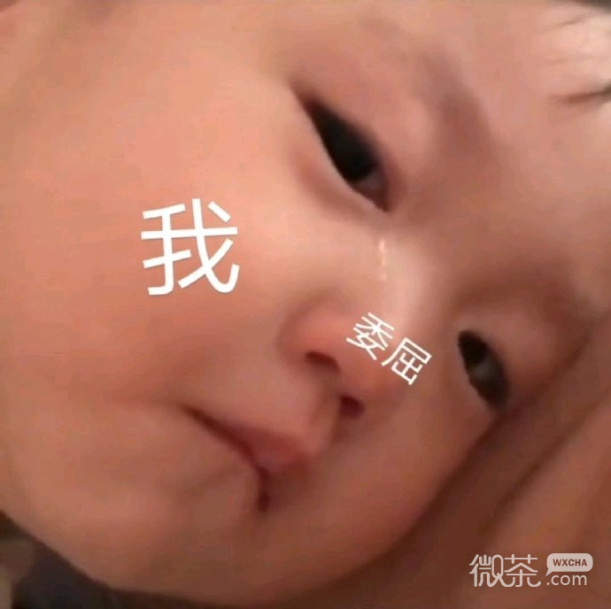 搞笑又沙雕的微信群聊带字表情包