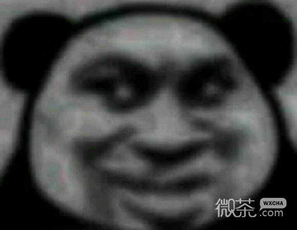 暗中观察微信群聊表情包