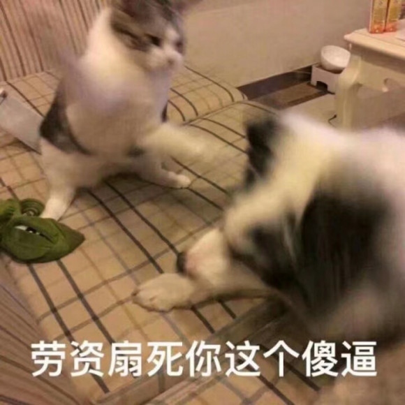 查岗微信恶搞斗图表情包