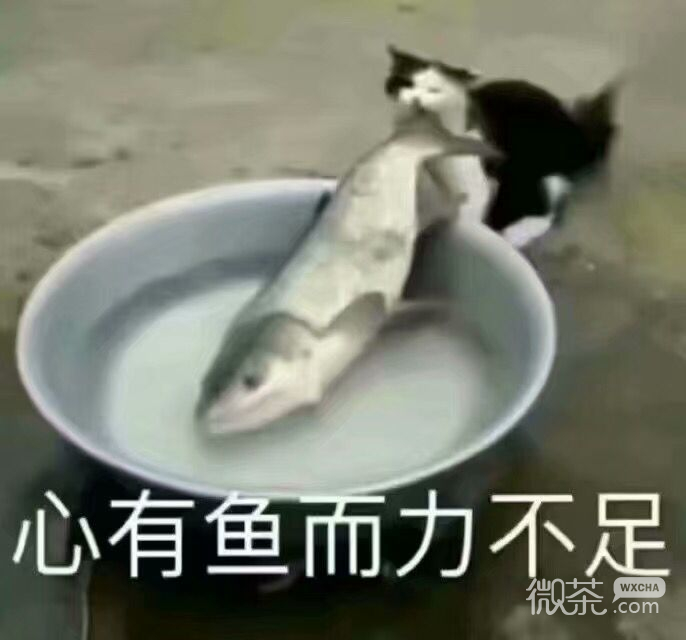 搞笑又沙雕的微信群聊带字表情包