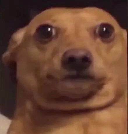 查岗微信恶搞斗图表情包