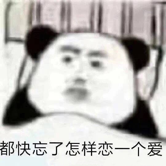 可爱爆笑的微信熊猫头带字表情包