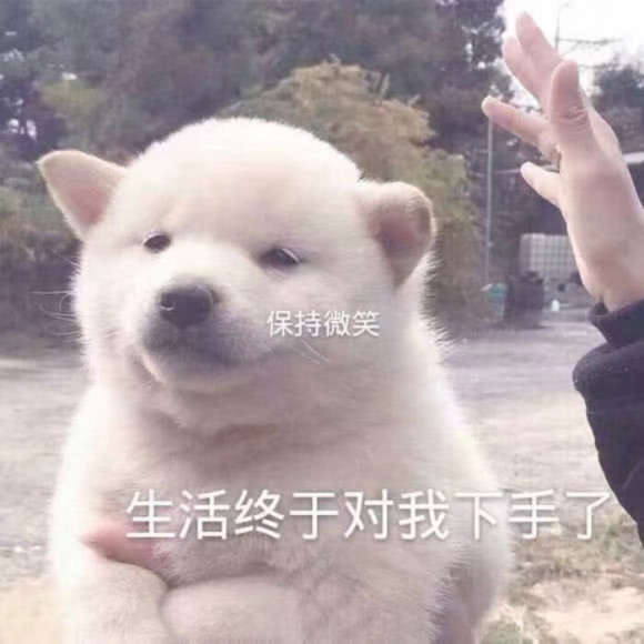 查岗微信恶搞斗图表情包