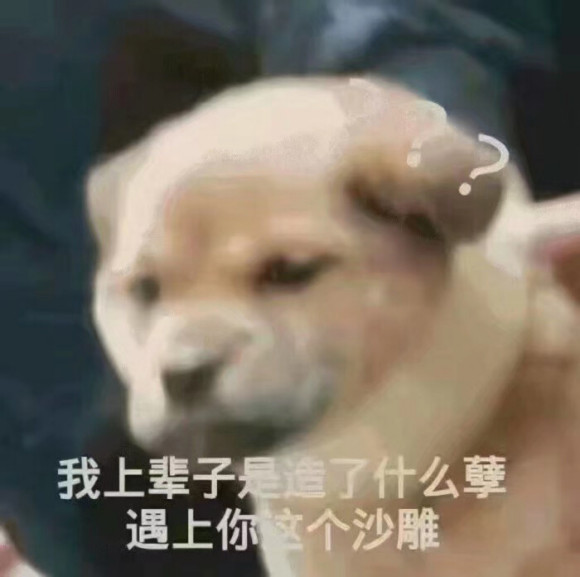 查岗微信恶搞斗图表情包