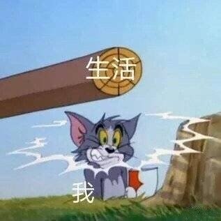 搞笑又沙雕的微信群聊带字表情包