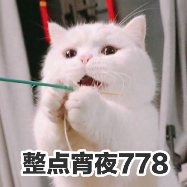 可爱带字的微信超萌喵星人表情包