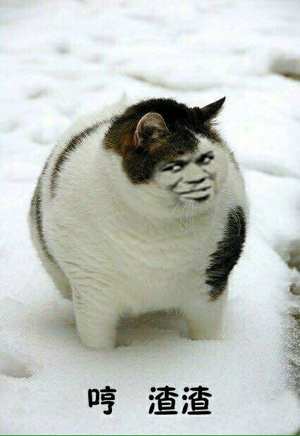 害怕微信恶搞聊天表情包