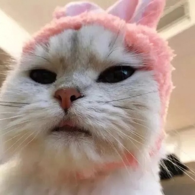 可爱搞笑的微信最新沙雕头像合集