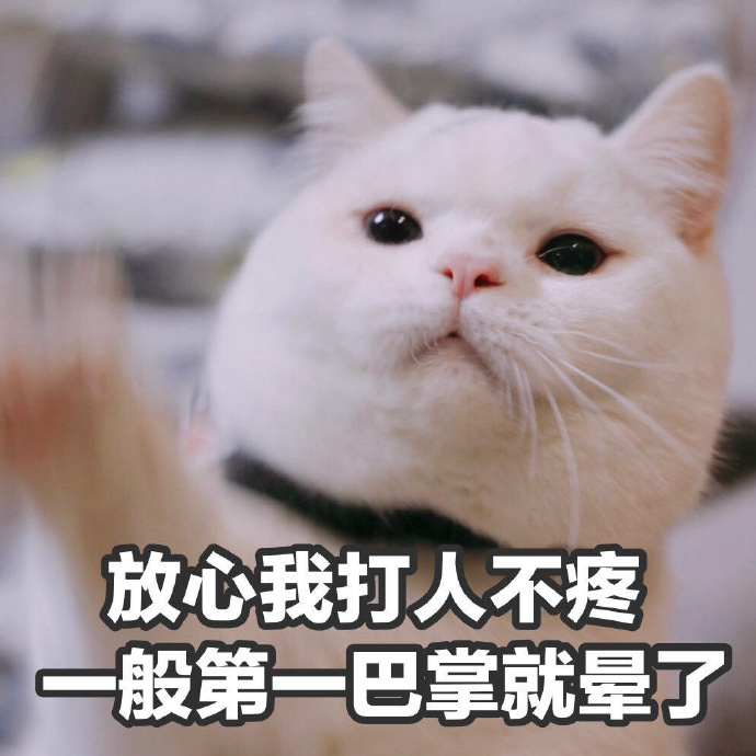 可爱带字的微信超萌喵星人表情包