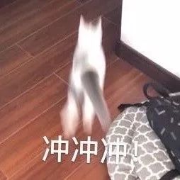 装死微信斗图表情包