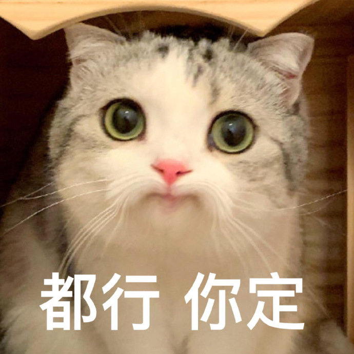 沙雕带字的微信最新搞笑表情包