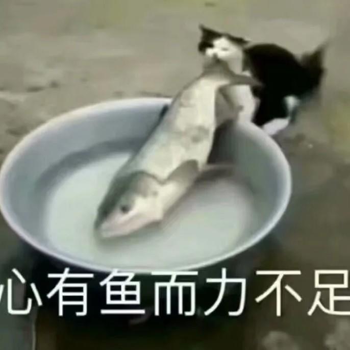 沙雕带字的微信最新搞笑表情包