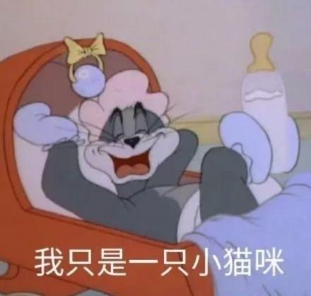 沙雕逗比的微信猫和老鼠斗图表情包