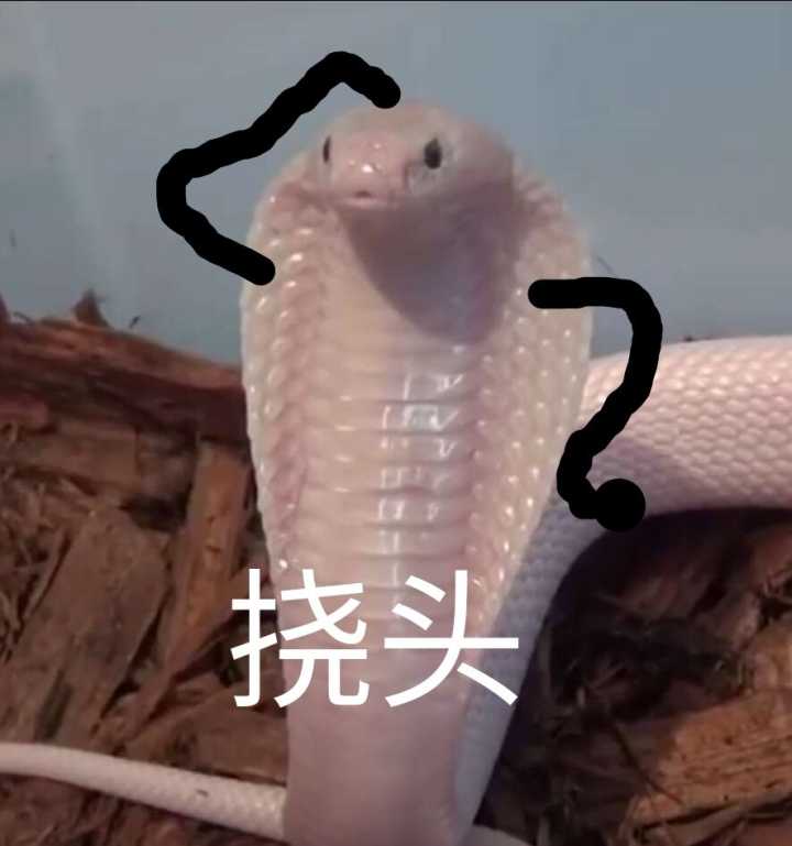 疯狂熊猫头恶搞斗图表情包