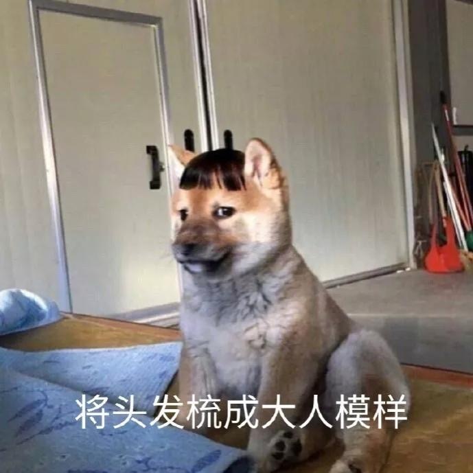 今日微信最新的沙雕带字表情包