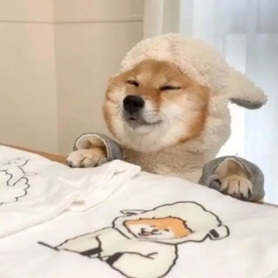 可爱搞笑的微信最新沙雕头像合集